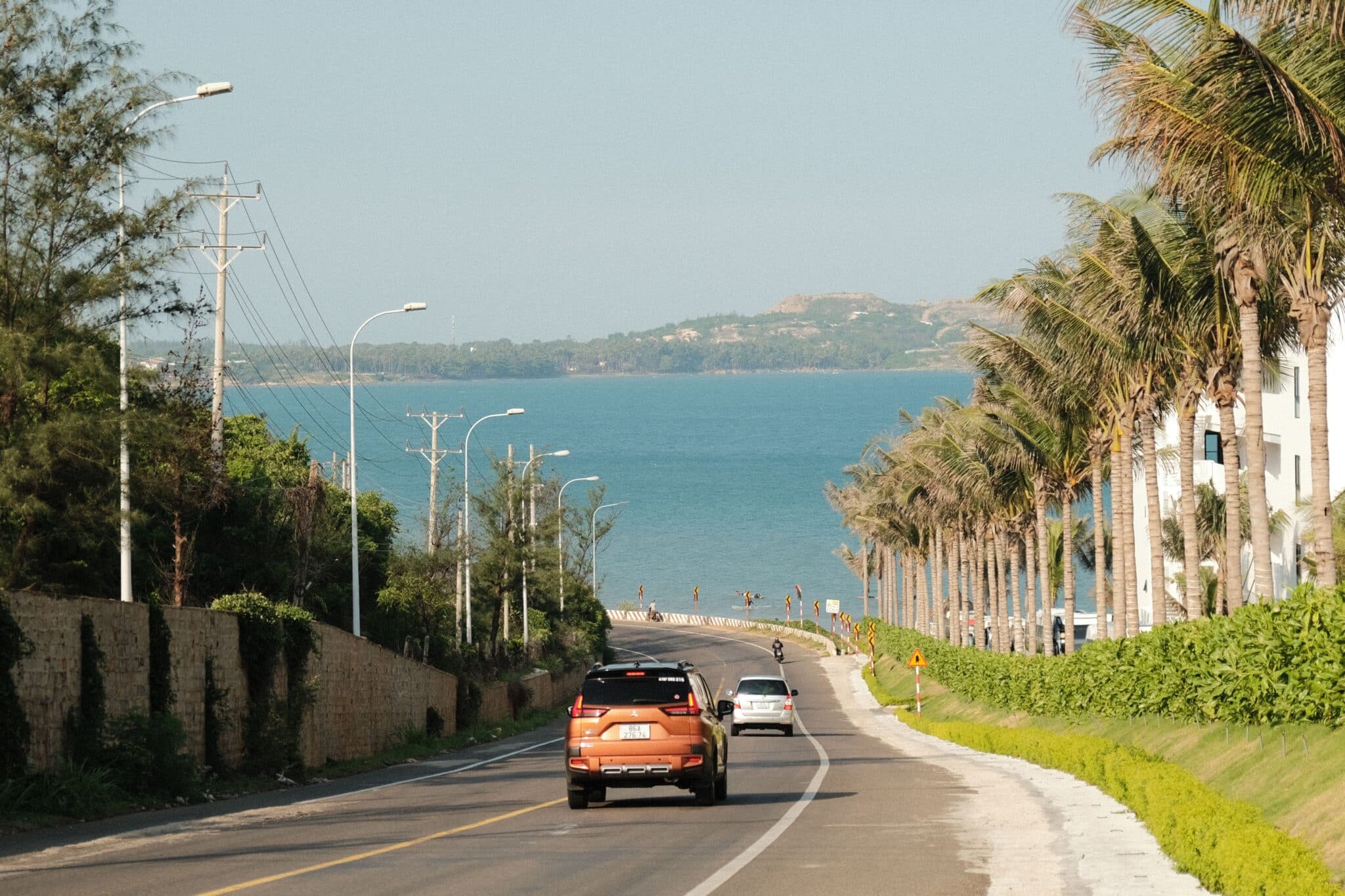 Scenic palm lined coastal road